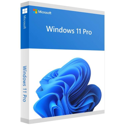 Software|MICROSOFT|Win Pro FPP 11 64-bit Eng Intl USB|Win Pro|Retail|HAV-00163