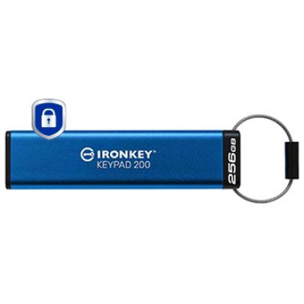 MEMORY DRIVE FLASH USB3.2/256GB IKKP200/256GB KINGSTON