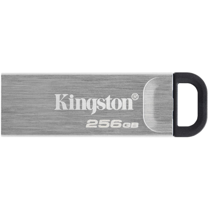 MEMORY DRIVE FLASH USB3.2/256GB DTKN/256GB KINGSTON